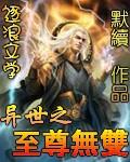 异世之至尊武帝